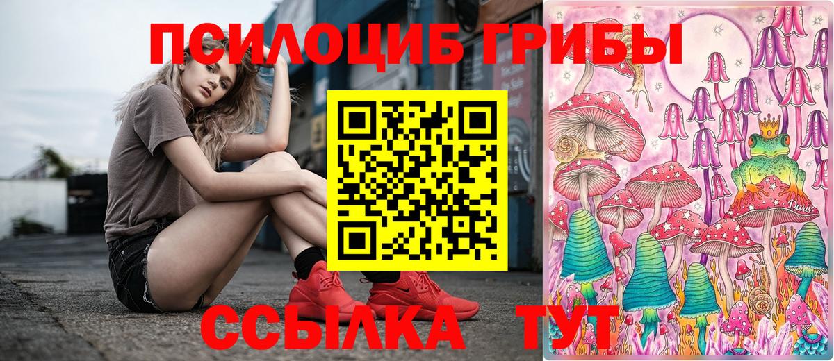 Псилоцибиновые грибы Psilocybine cubensis  Псилоцибиновые грибы мицелий  Вход с VPN  Мыски 